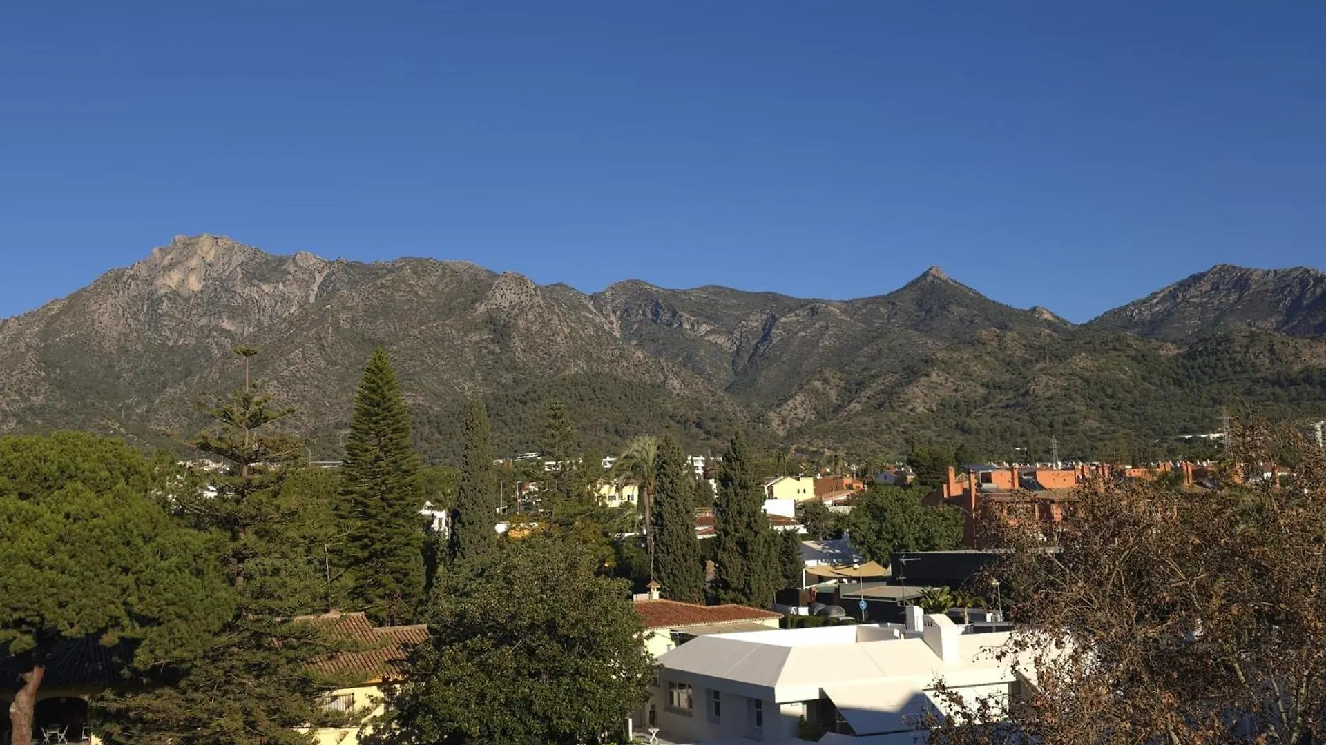 Apartment Marbella City Center Appartment Walking Distance Beach And Plaza De Los Naranjos